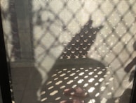 Sunlight casting shadows over a selection of p styli's bags and shoes arranged outdoors.