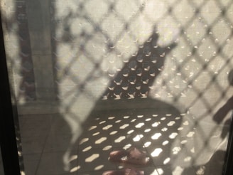 Sunlight casting shadows over a selection of p styli's bags and shoes arranged outdoors.