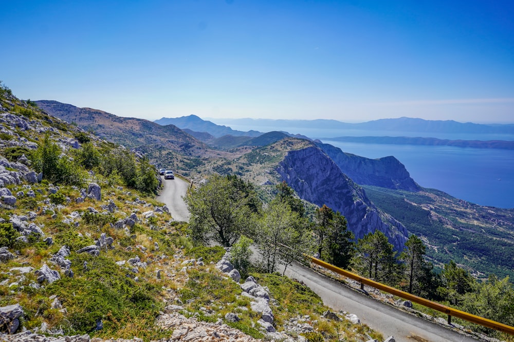 green trees near mountain under blue sky during daytime