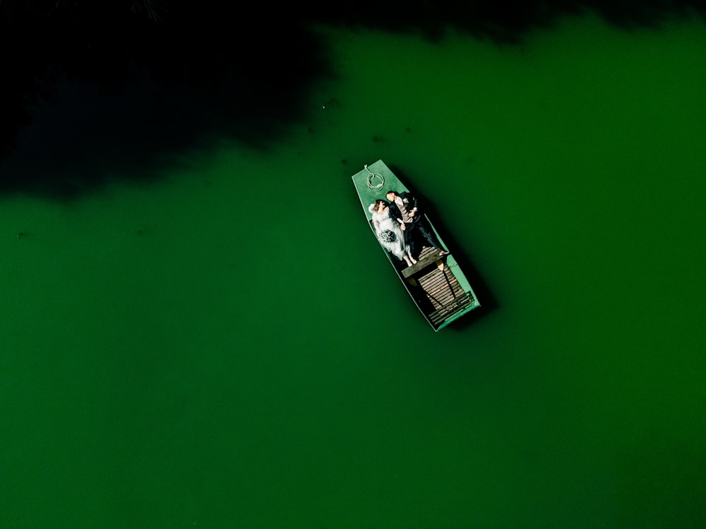 aerial view of white and brown boat on green water