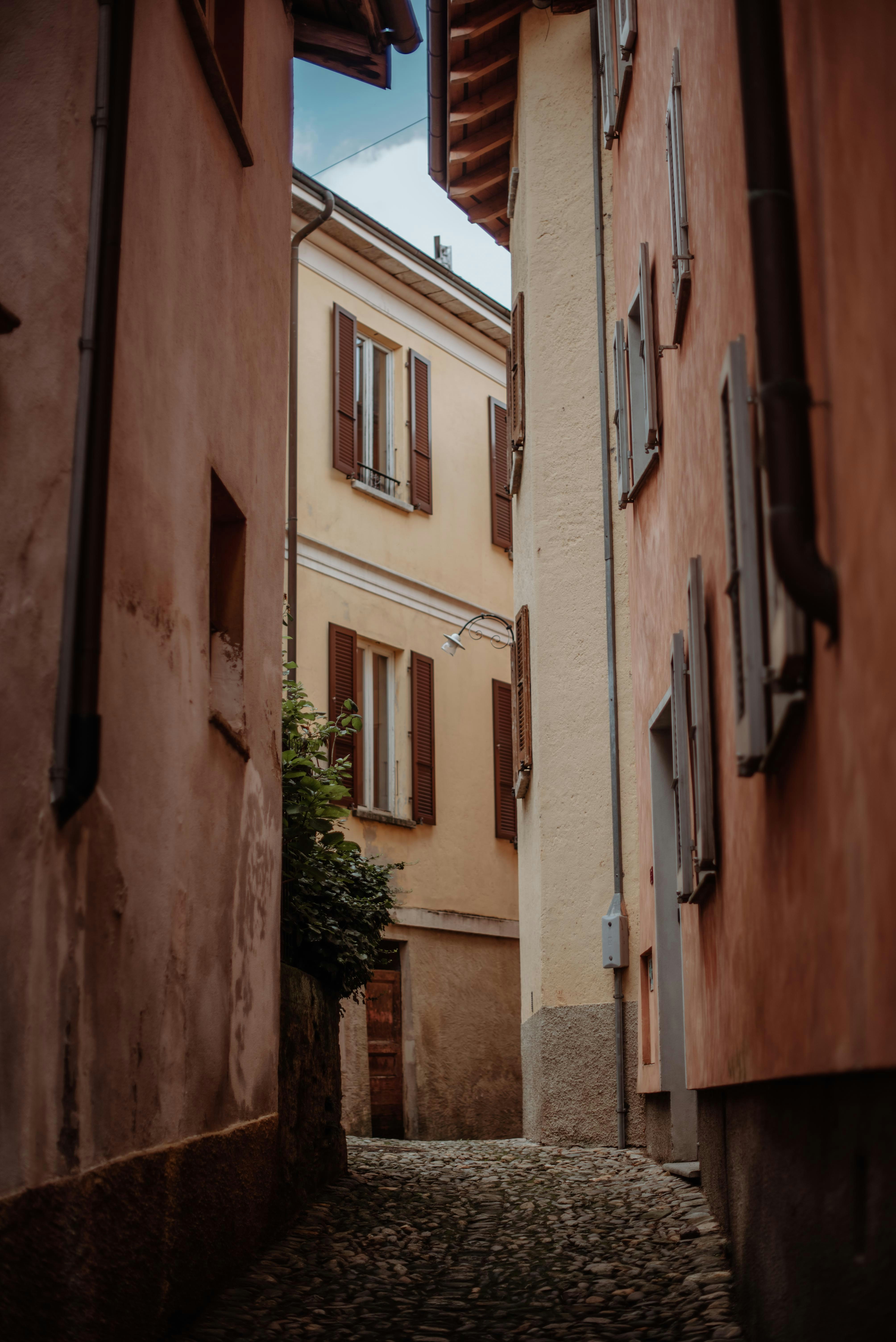 Photo by julialavendel