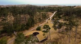 An aerial view of a landscape featuring a unique, modern building with a green roof, surrounded by a dense forest. A dirt path leads through the trees towards the horizon, where sandy dunes meet a distant body of water.