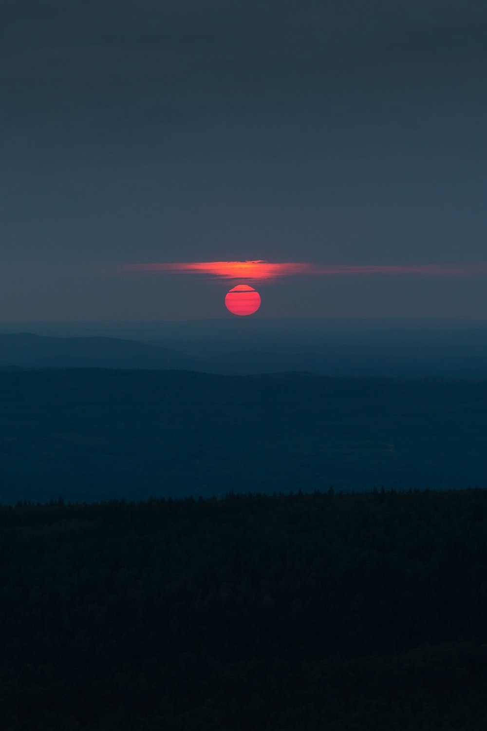 silhouette of trees during sunset