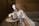 A woman in a white bathrobe and towel wrapped around her head sits on a sofa in a spa-like setting. She is reading a document, with a table in front of her holding a vase with white flowers, a candle, and a magazine. The room has wooden walls, creating a warm, relaxing environment.