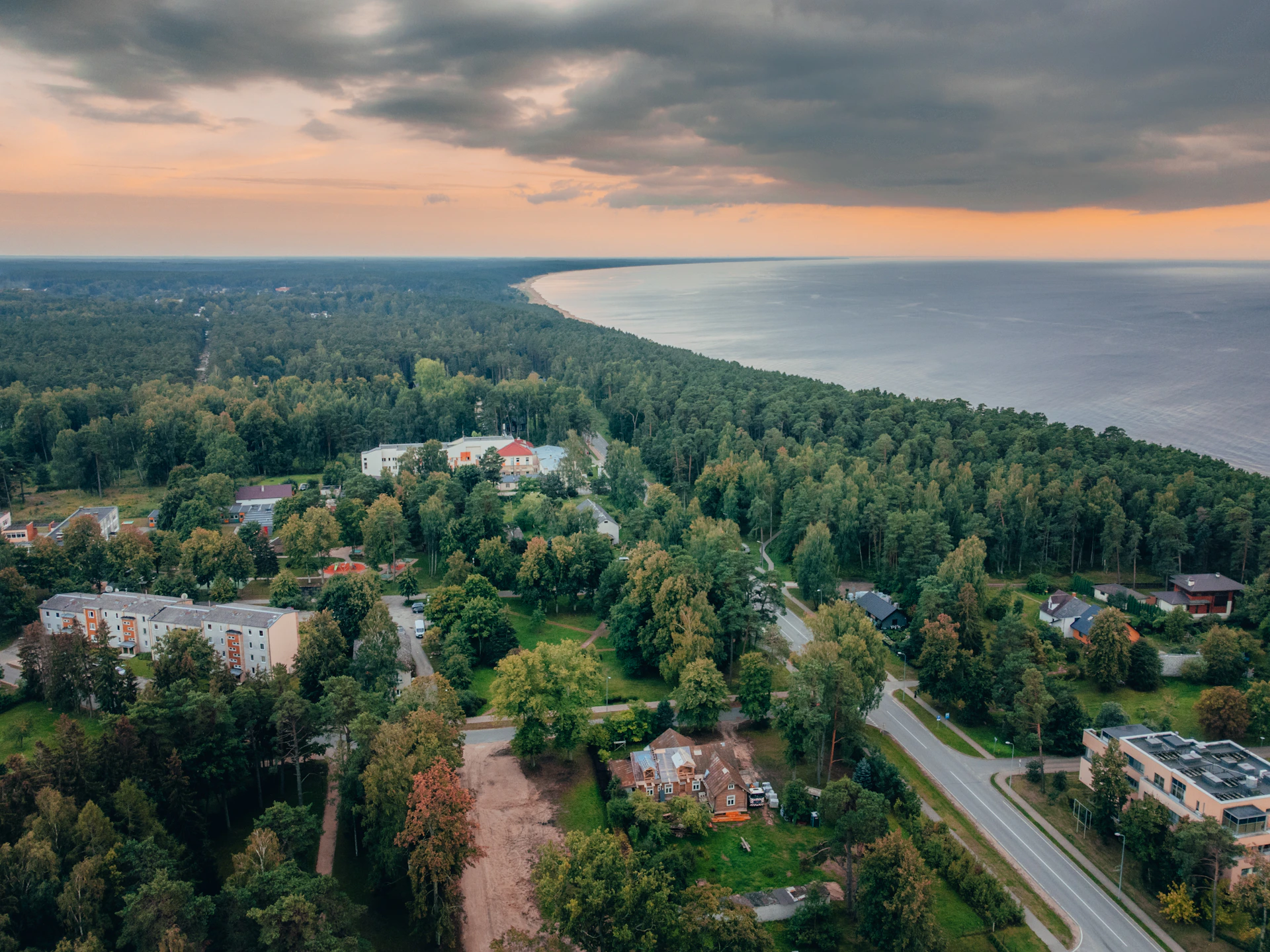 aerial view of green trees near body of water during daytime