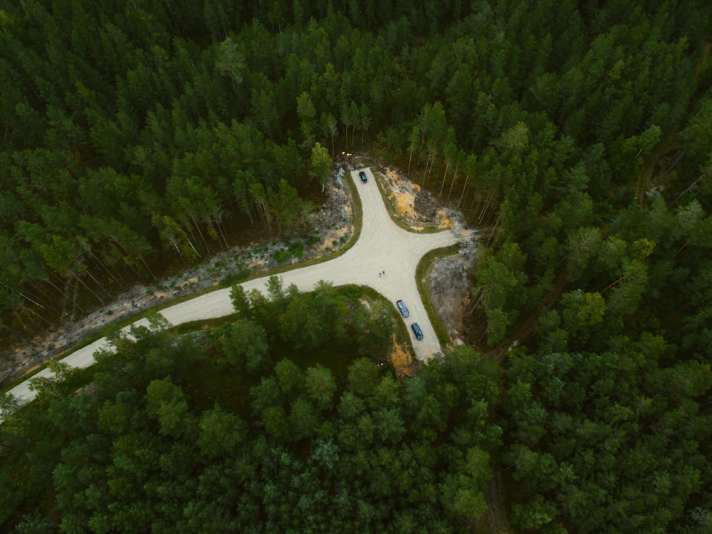 aerial view of green trees and road