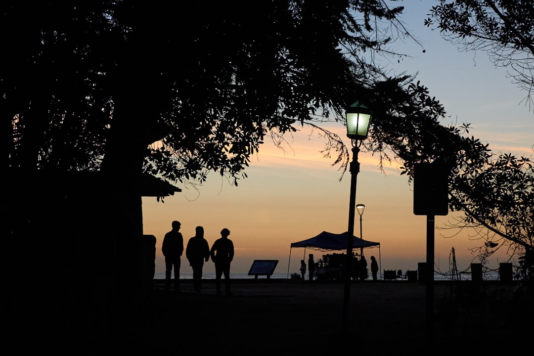 silhouette of people standing on the field during sunset