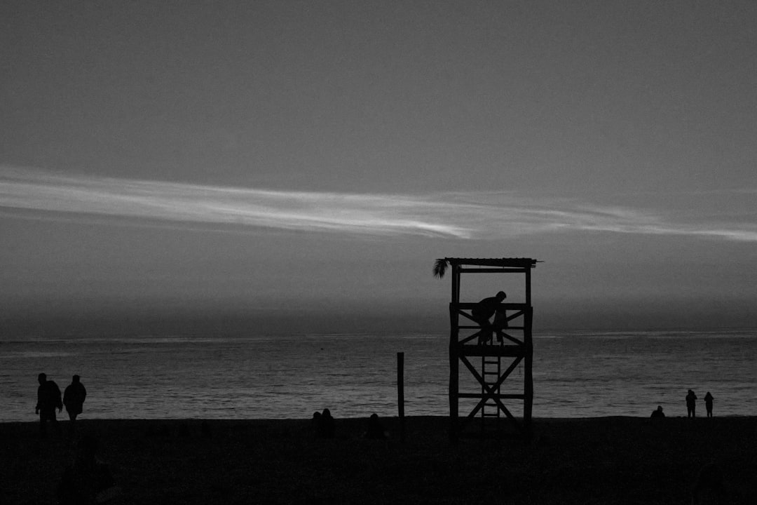 silhouette of people on beach during daytime