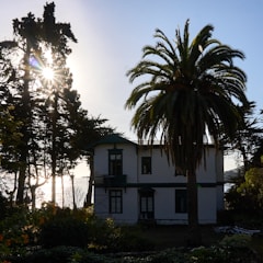 Cozy Palm Beach bungalow with bright interior and lush garden.