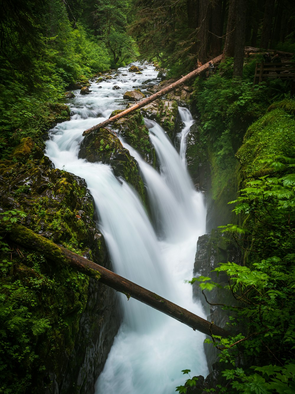 water falls in the middle of green moss covered rocks