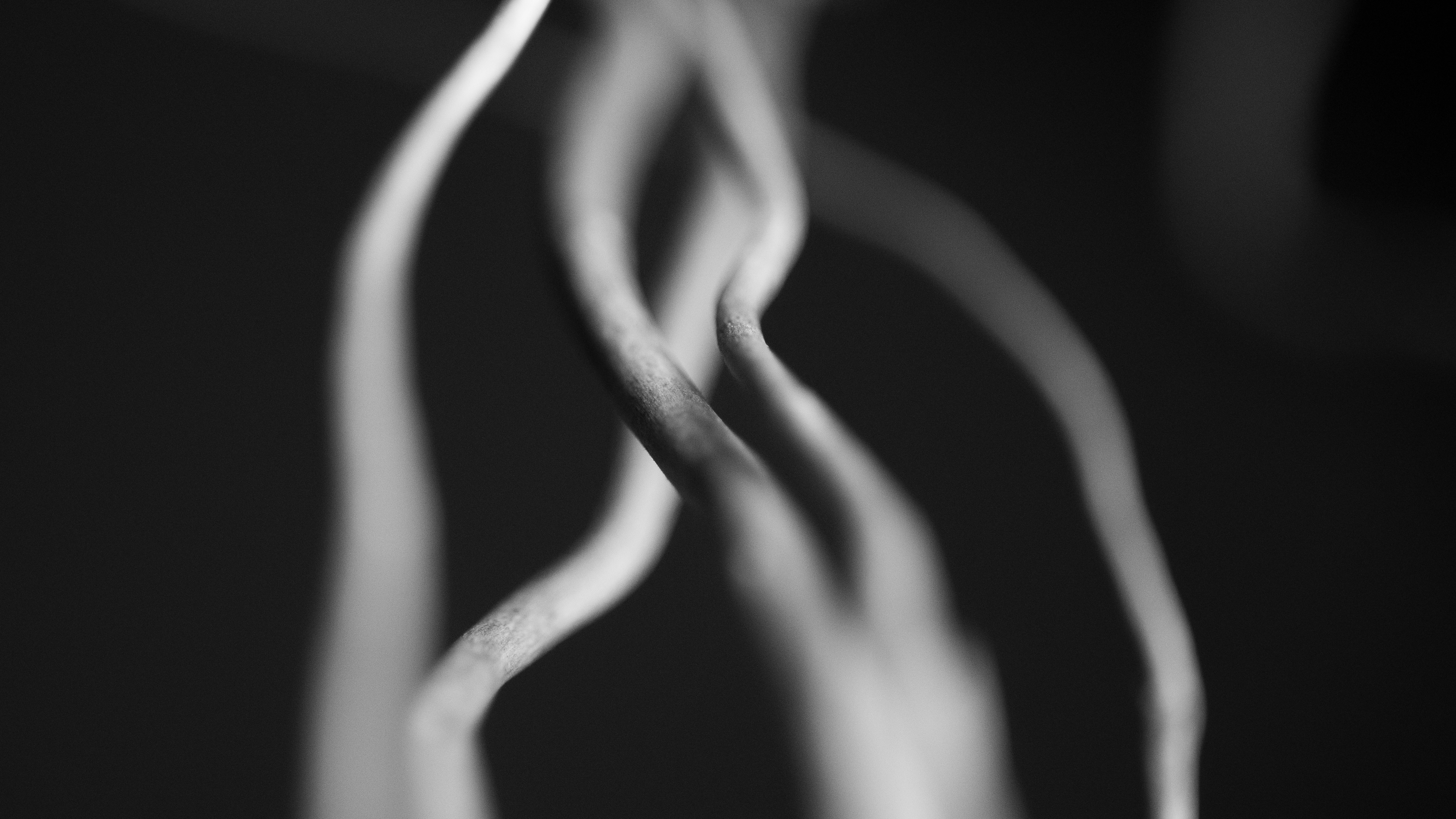 Photo by caspian_dahlstrom