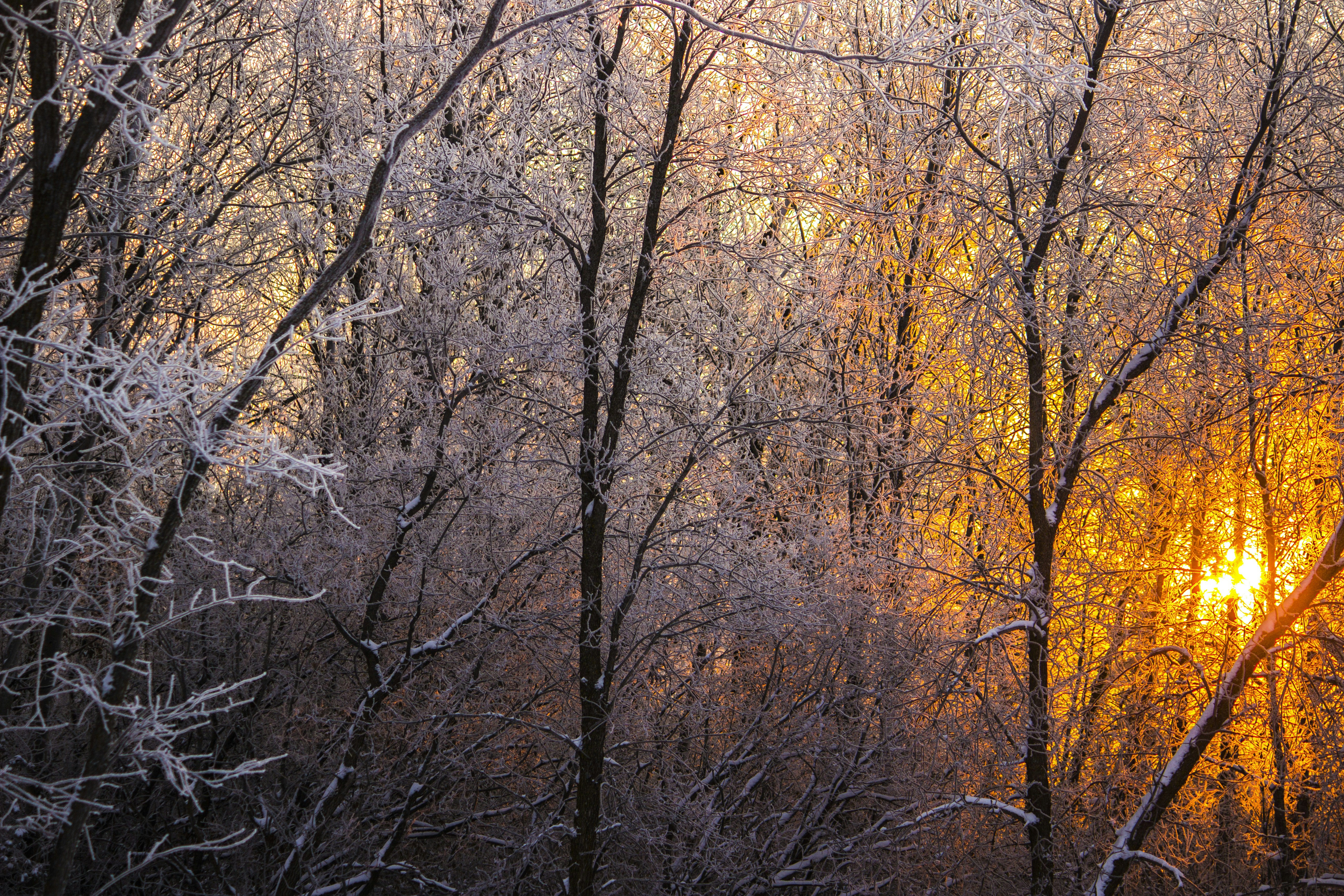 근육이 부드러워지는 전신 스트레칭! 아침, 저녁 루틴 추천