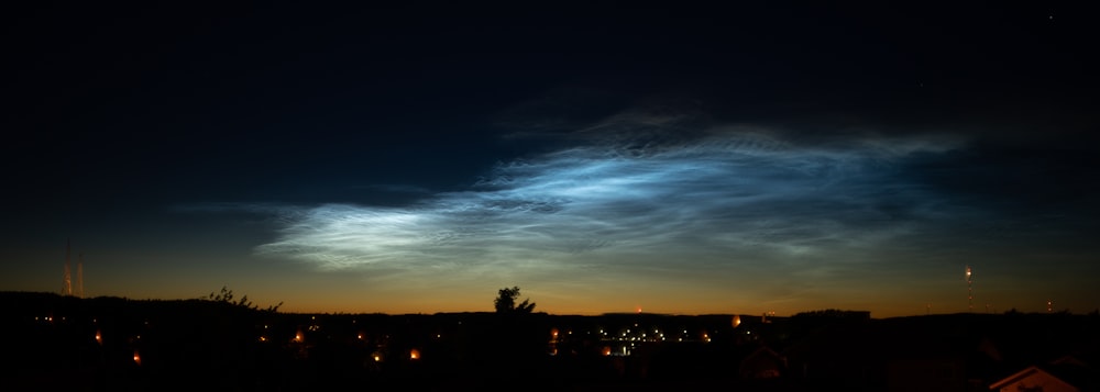 silhouette of trees under blue sky during night time