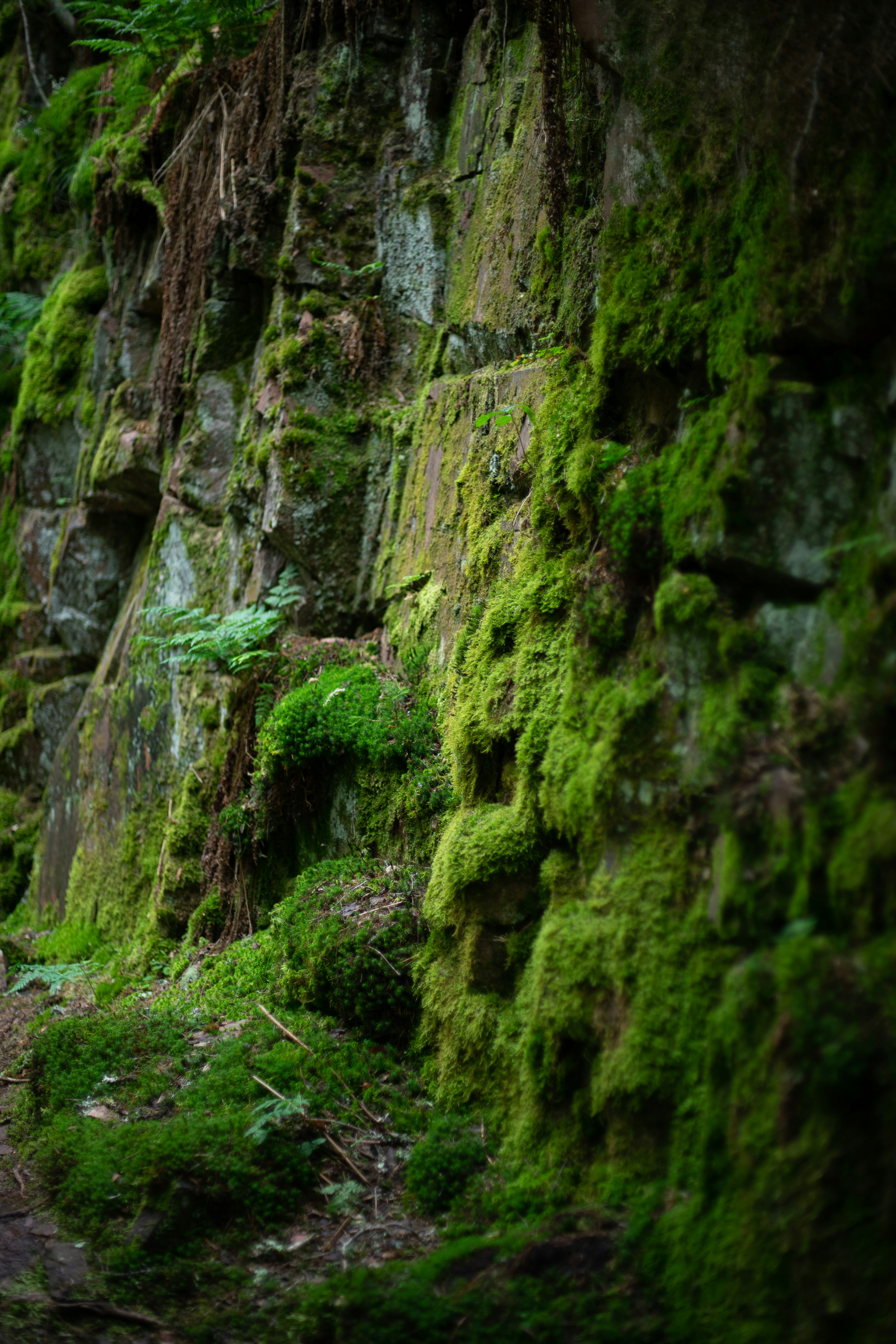 Photo by caspian_dahlstrom