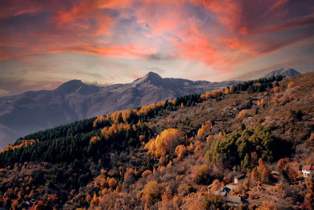 a mountain covered in lots of trees under a cloudy sky