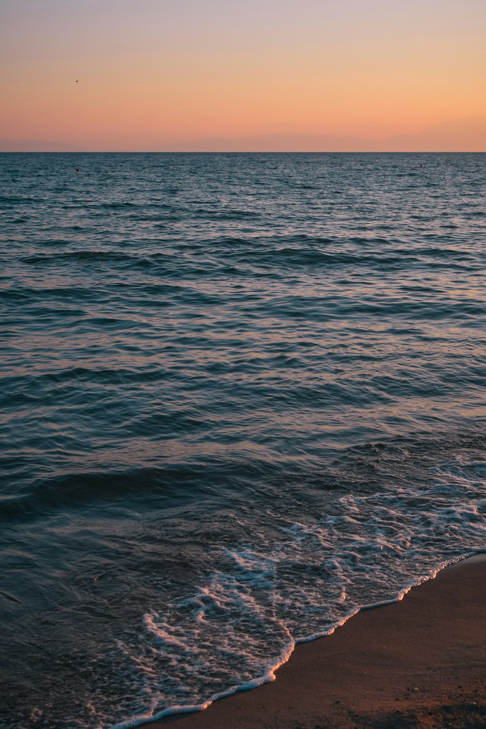 body of water during daytime