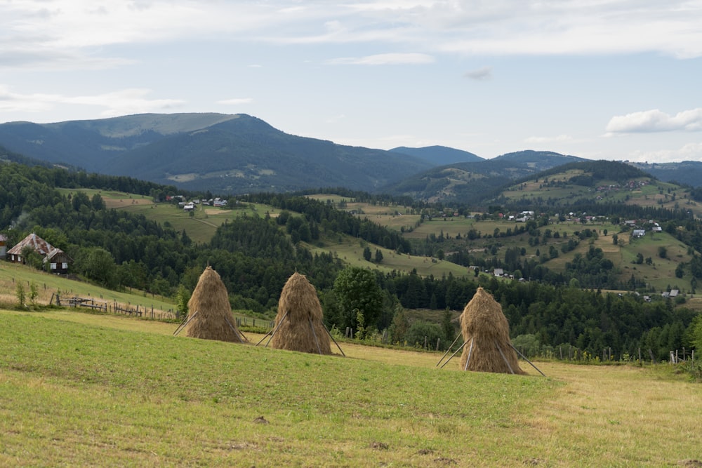 a couple of hay bales sitting on top of a lush green hillside