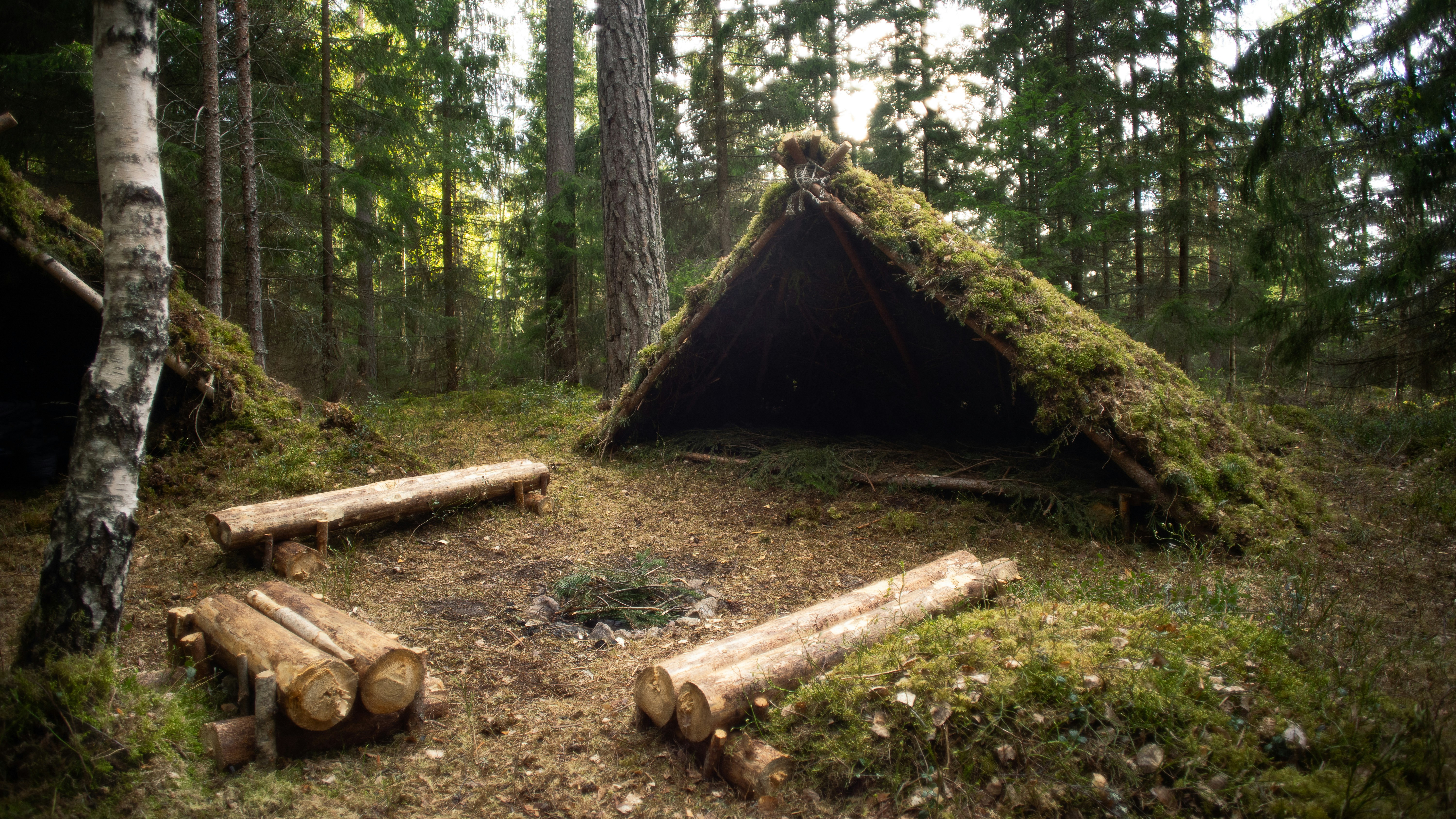 What Are 5 Things You Need To Survive In The Wilderness