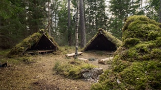 brown wooden house in the woods