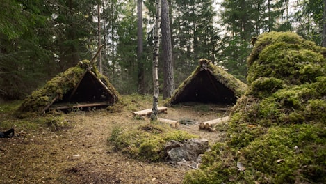 brown wooden house in the woods