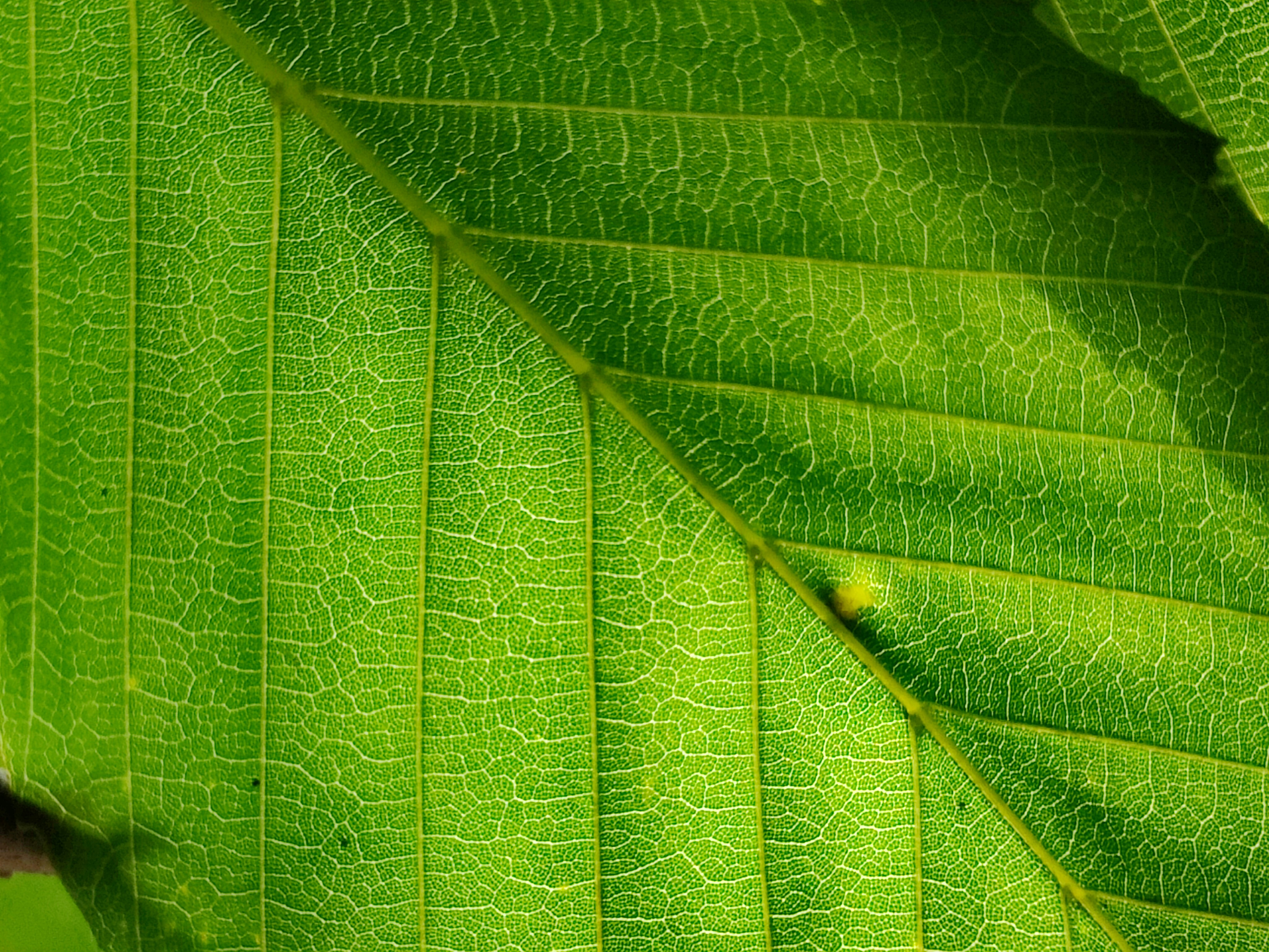 Photo by jeffrey_jpeg