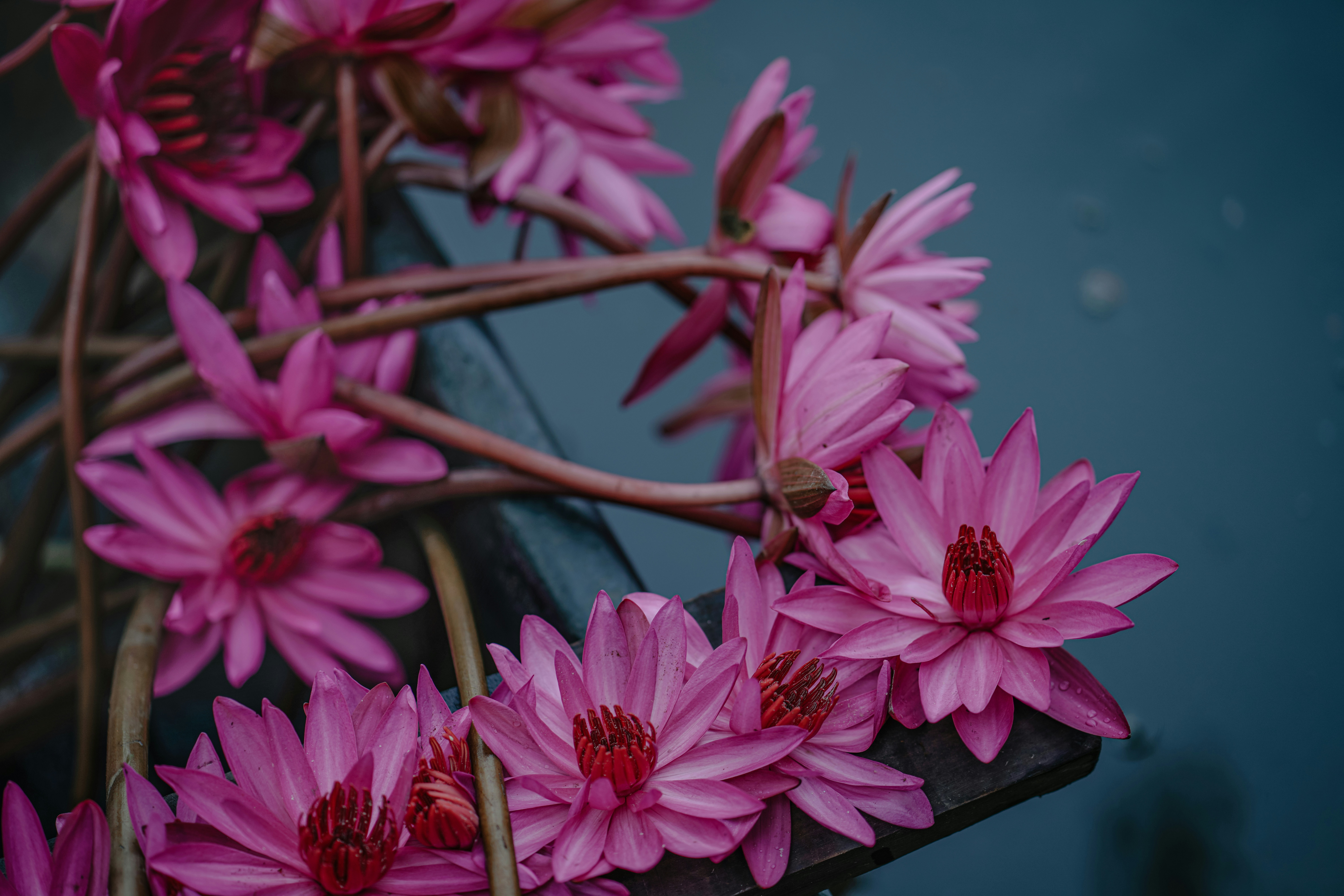 Photo by sreesanthfog