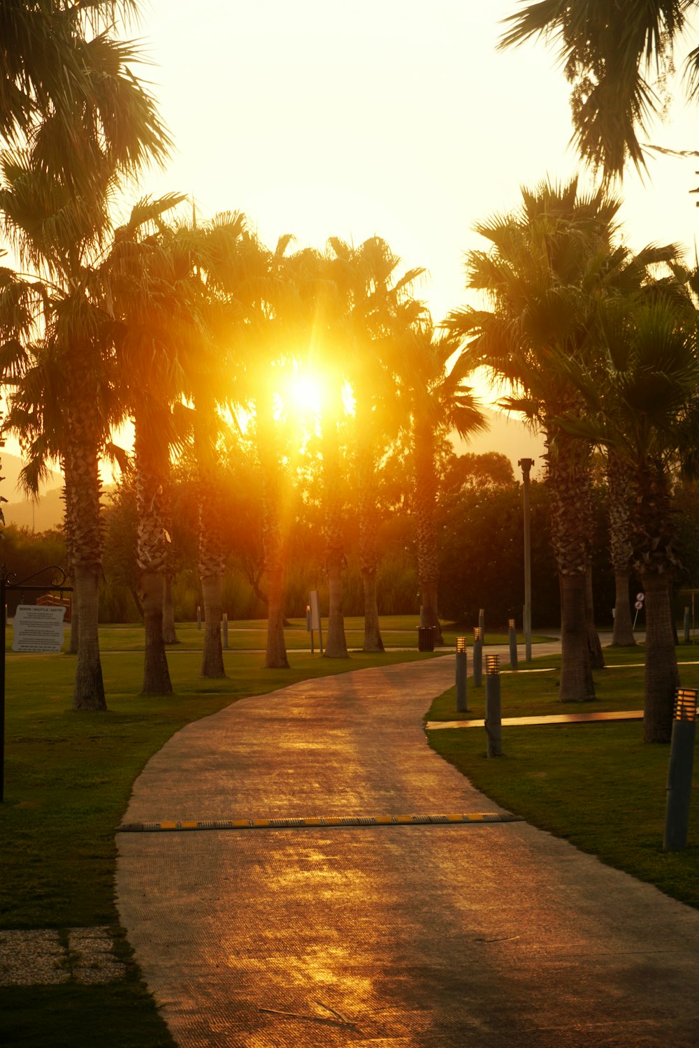 Menschen, die während des Sonnenuntergangs im Park spazieren gehen