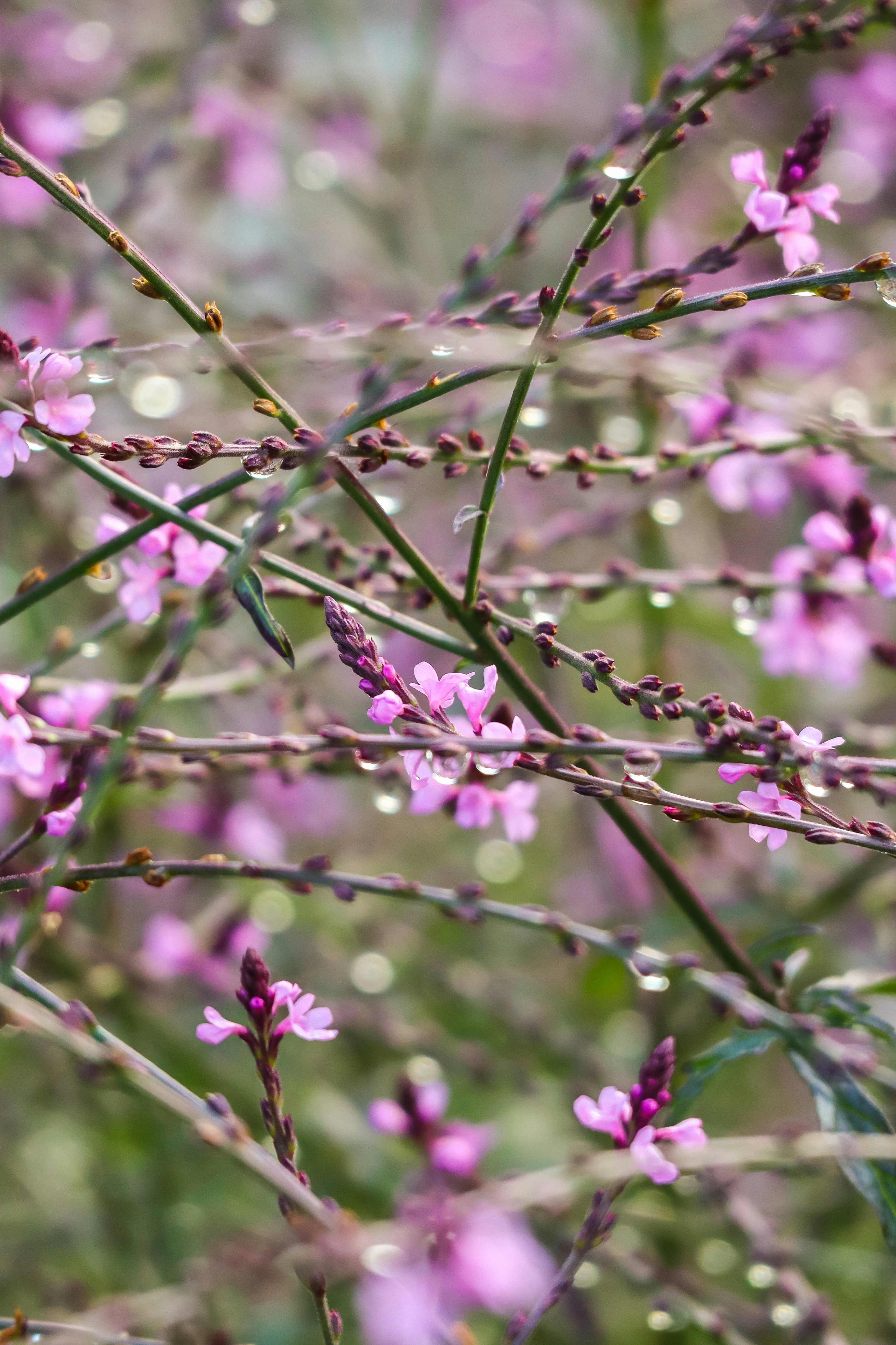 Photo by damiankarpinski_photo