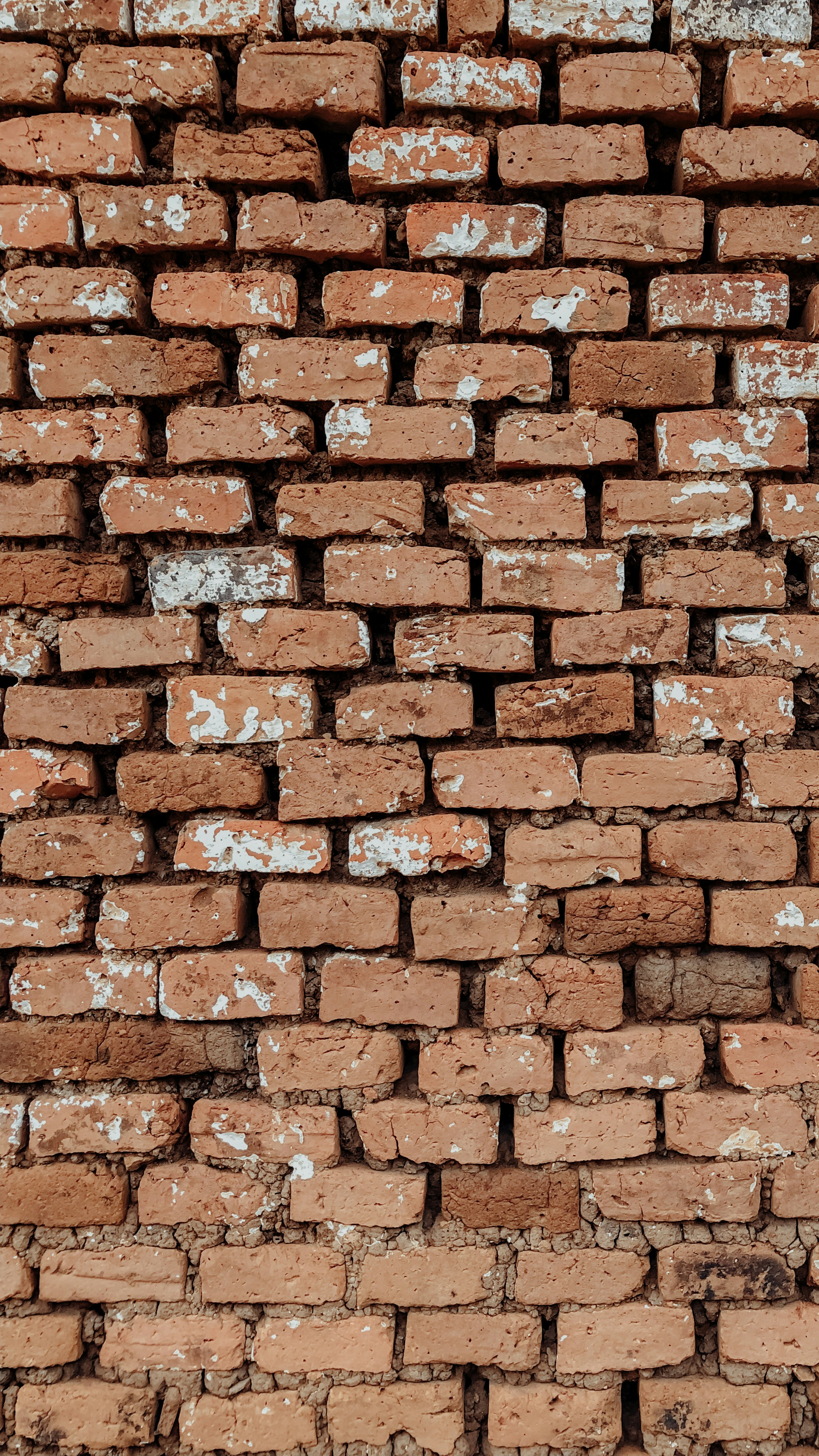 Photo by sulistyosatriyo