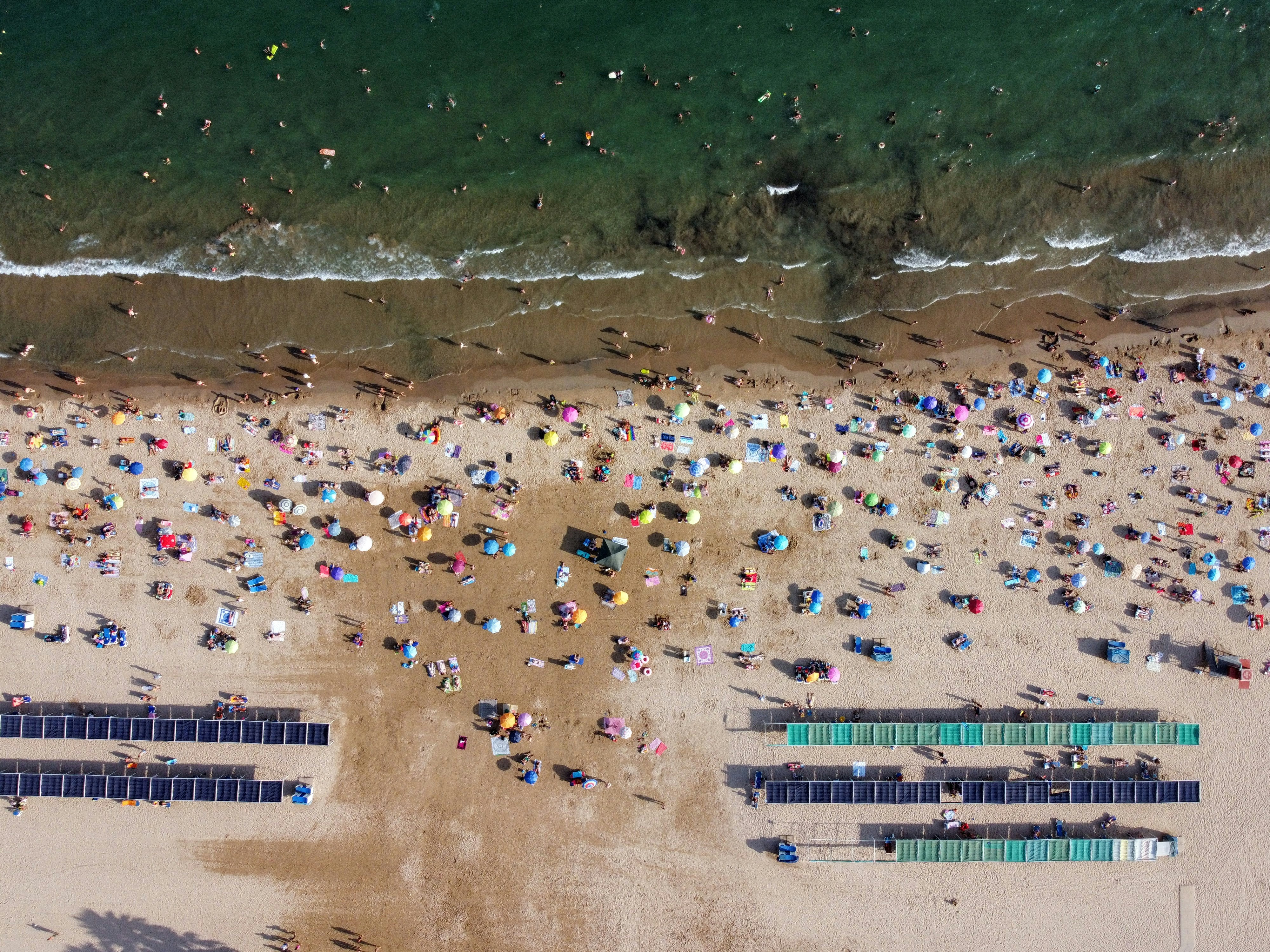people on beach during daytime