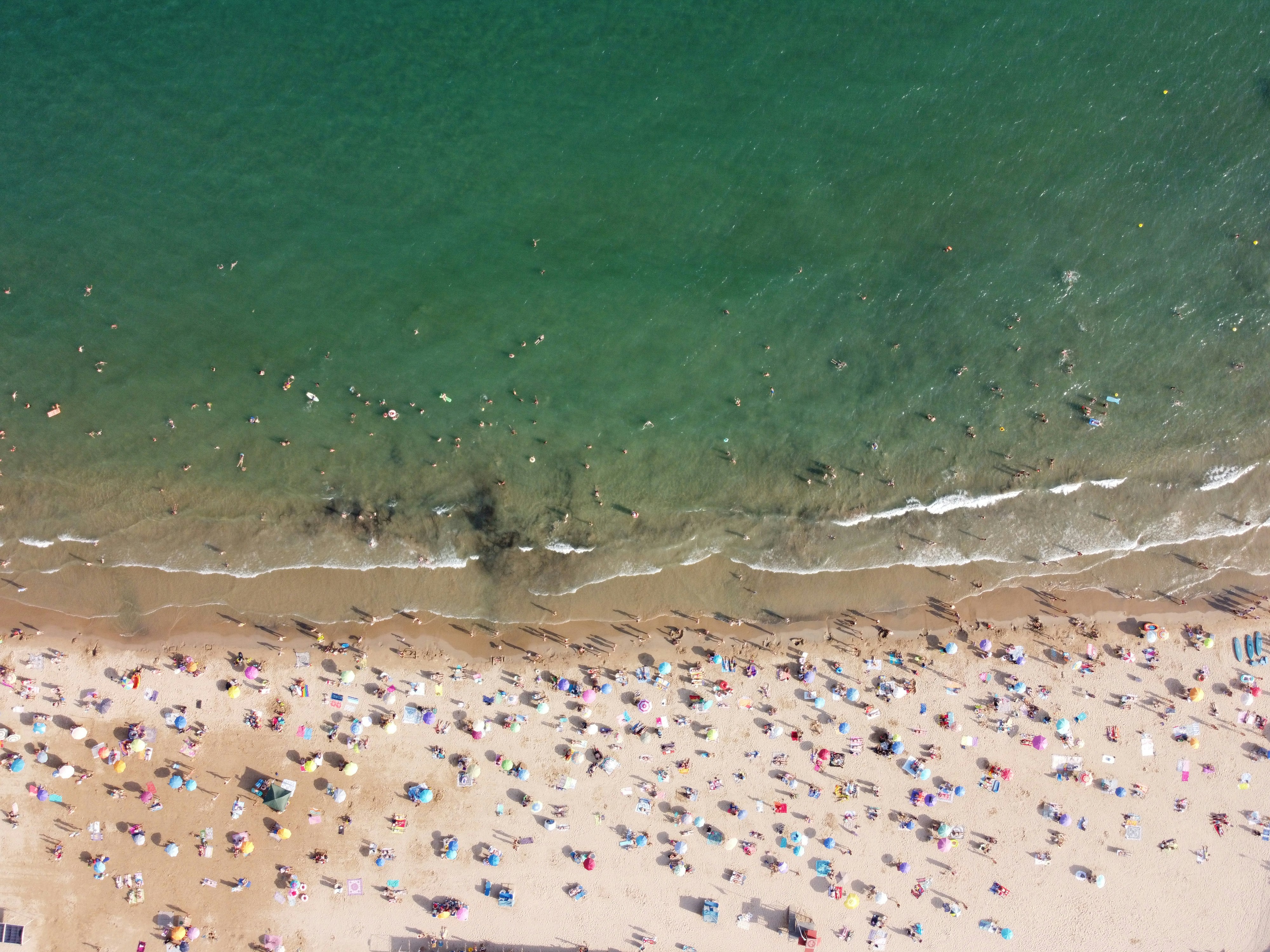 aerial view of people on beach during daytime