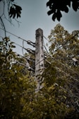 A concrete utility pole stands amidst dense foliage, with several electrical wires and insulators attached to it. The surrounding trees and leaves create a natural frame, and the sky above is overcast.
