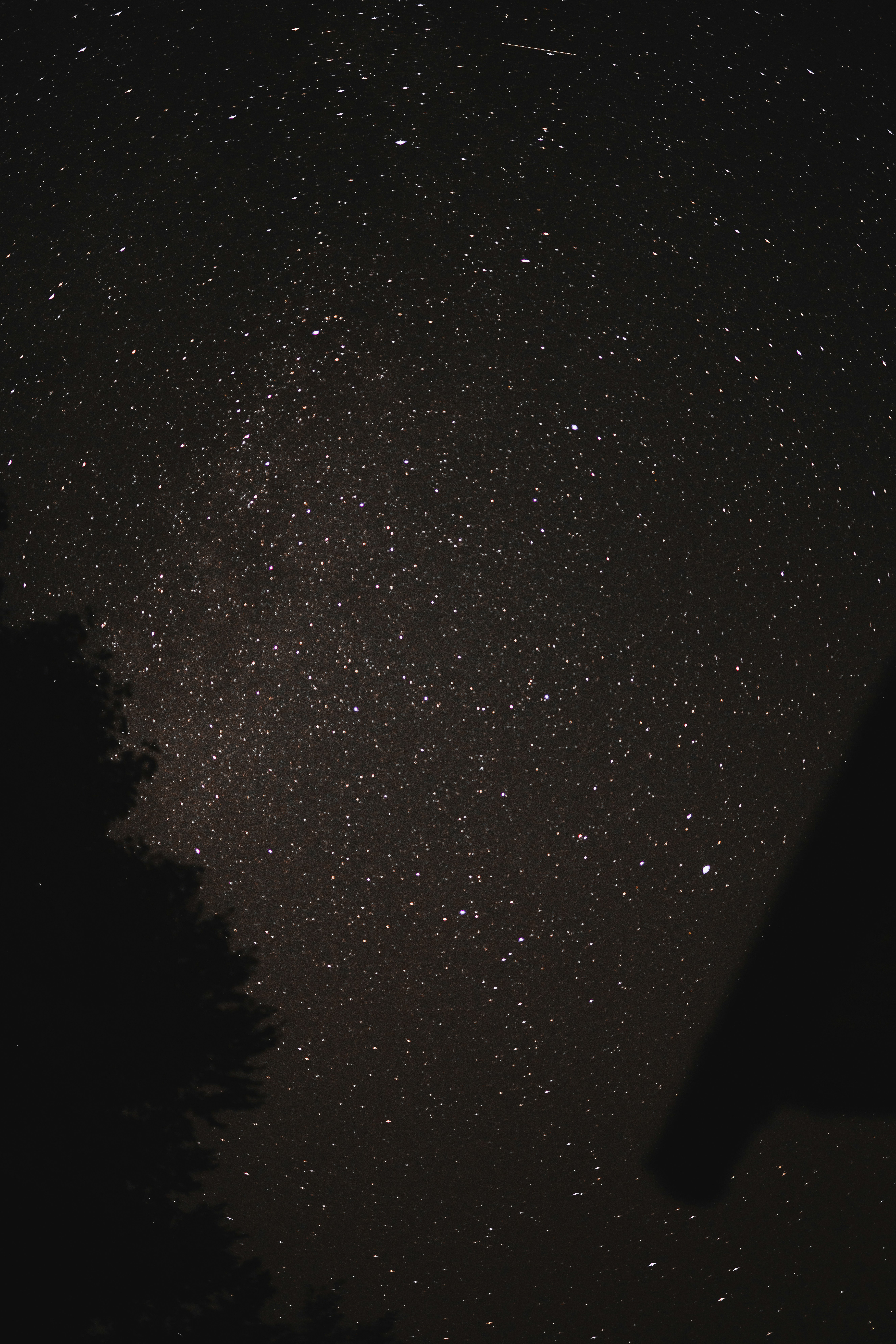 Photo by michal_kovar_photography