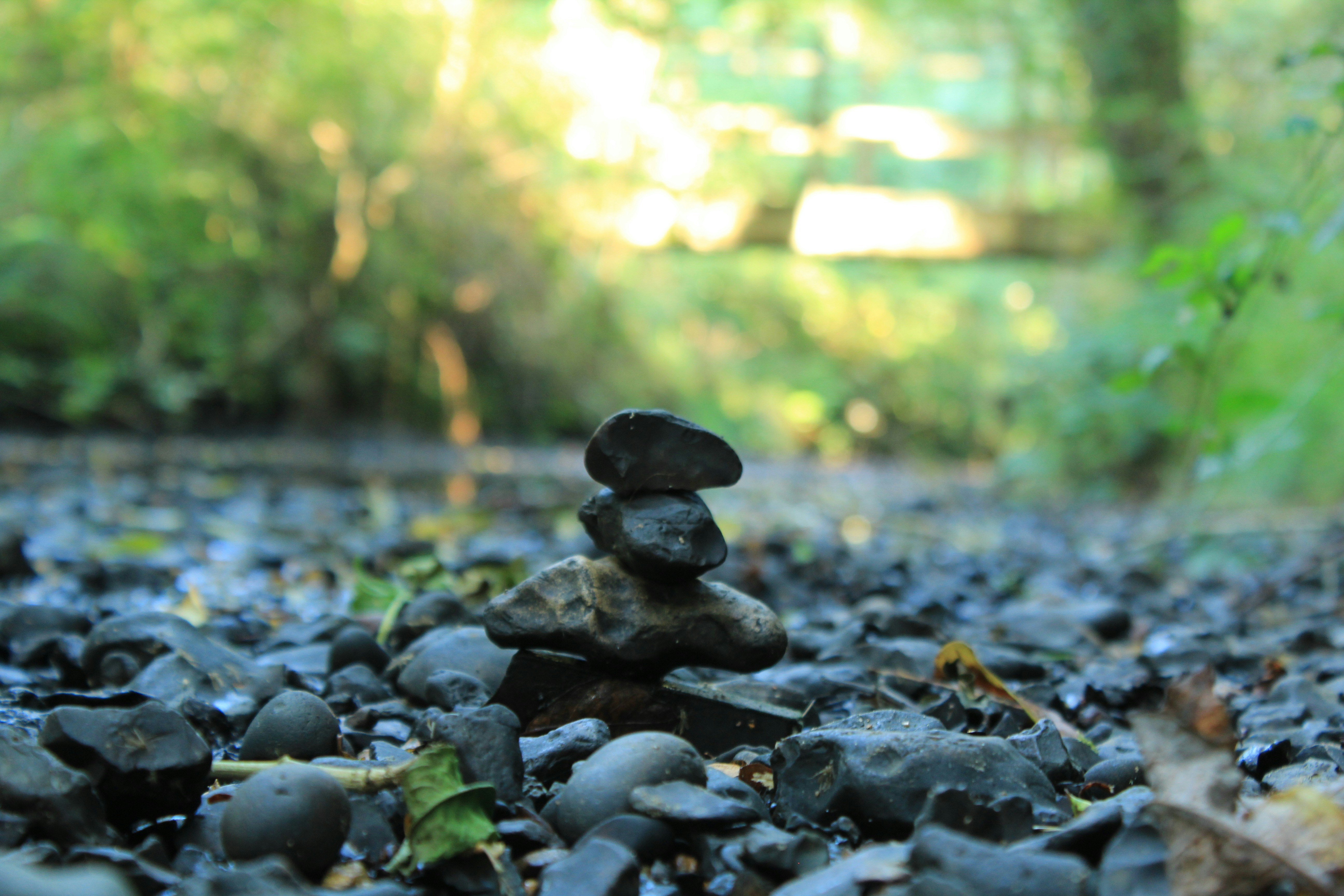 Photo by taketwentysix