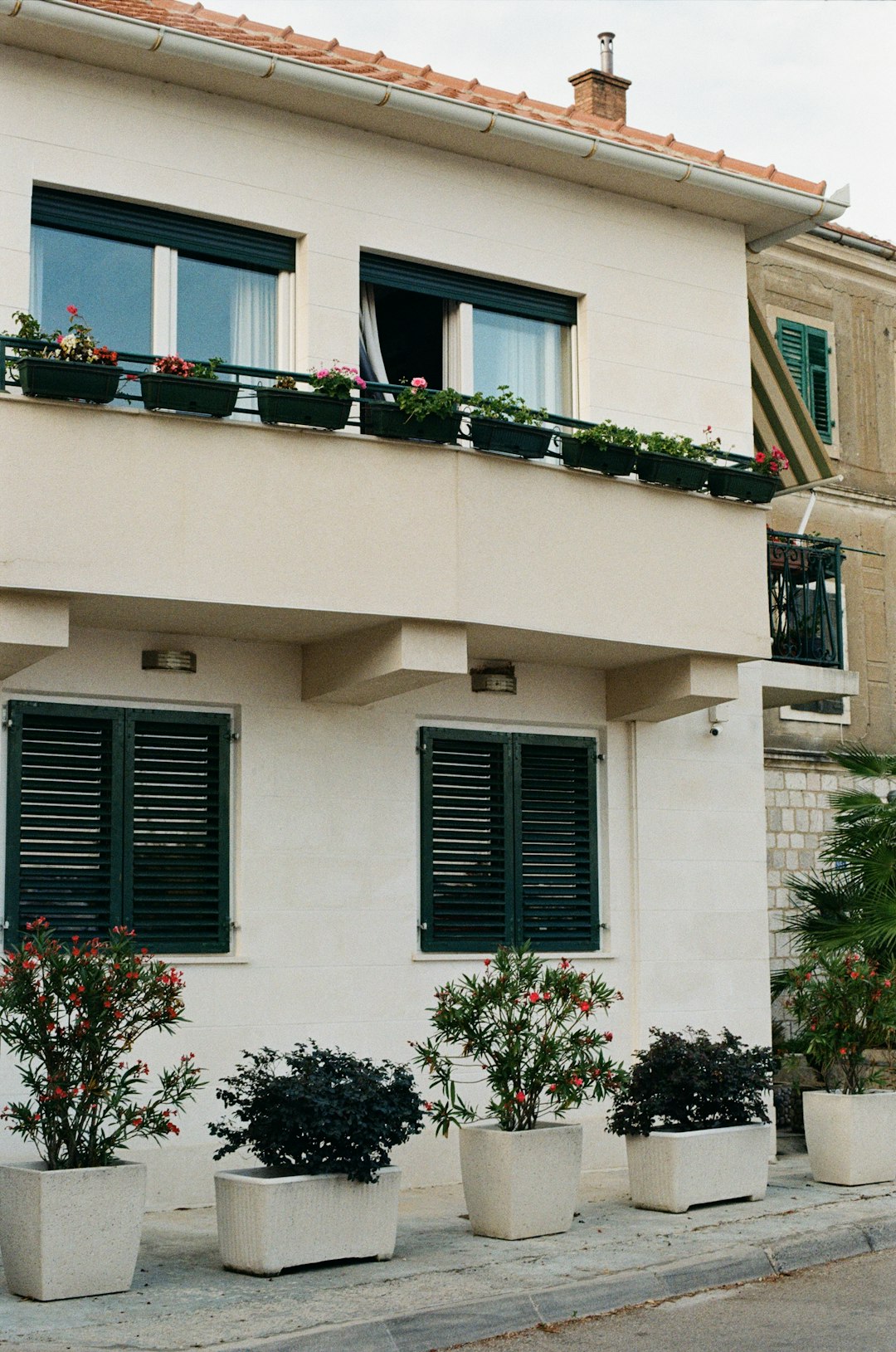 green plants on white concrete building