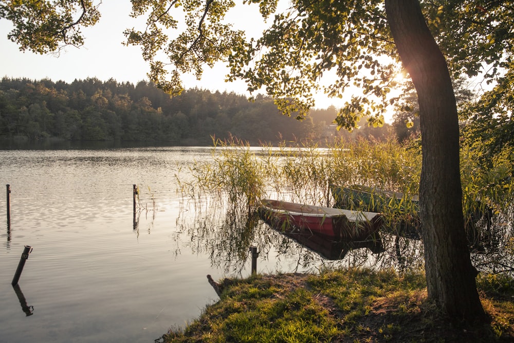 red boat on lake during daytime