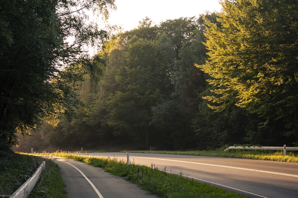 gray concrete road between green trees during daytime