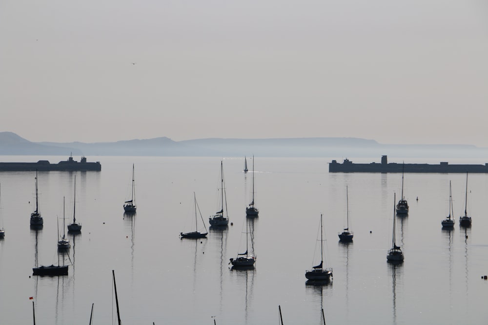 white and black boat on body of water during daytime