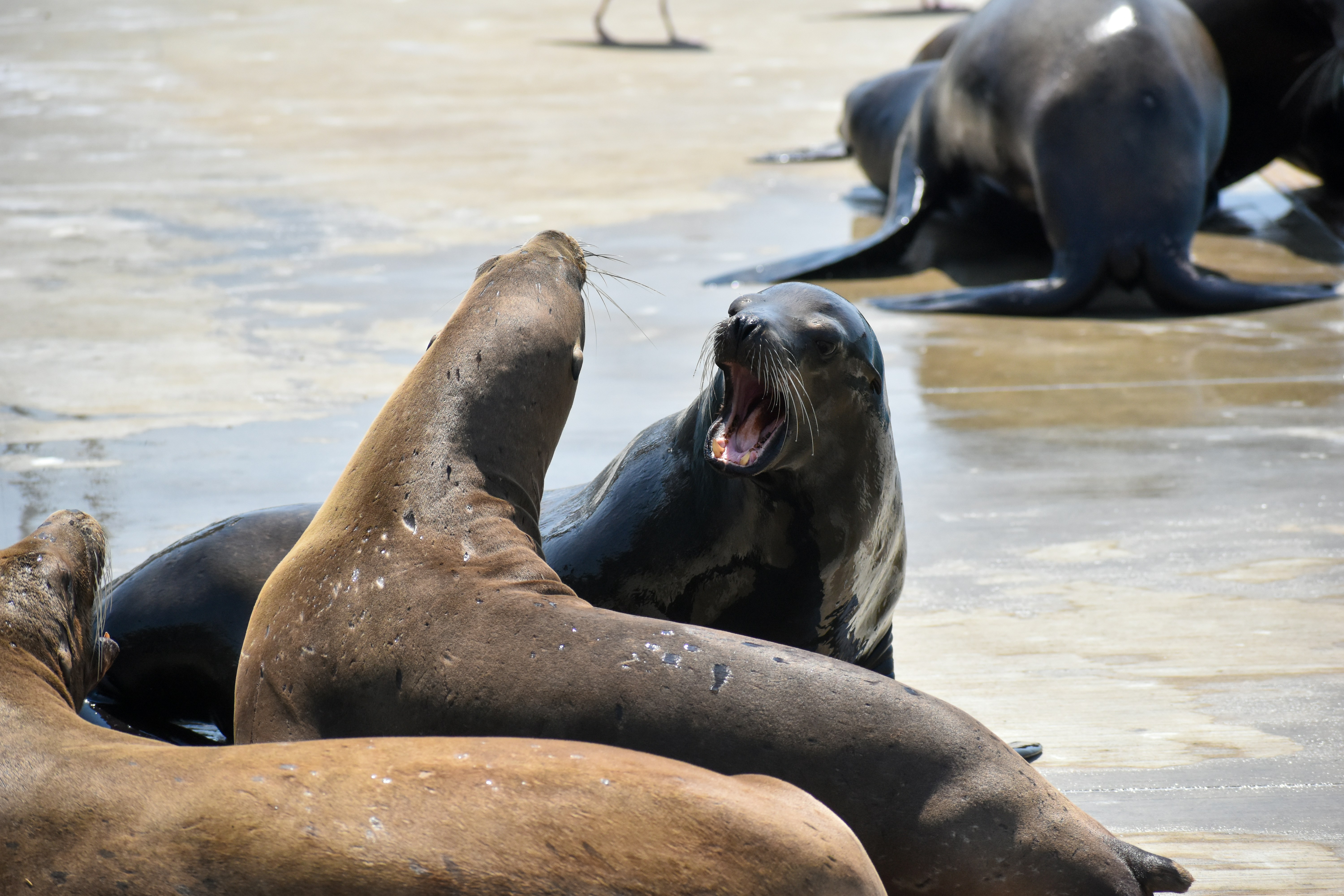 Photo by taylorwright22