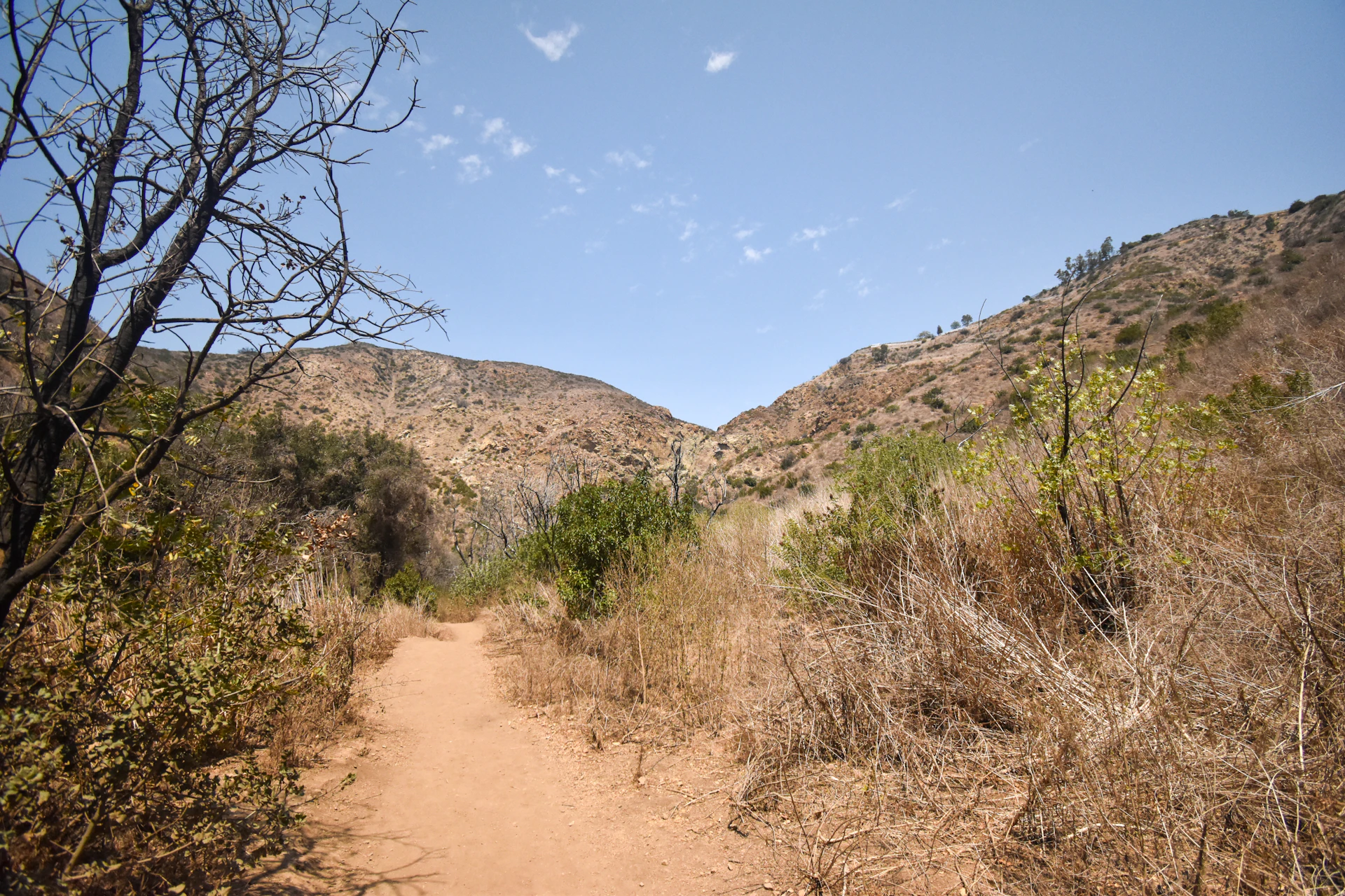 Rancho Penasquitos, San Diego, California