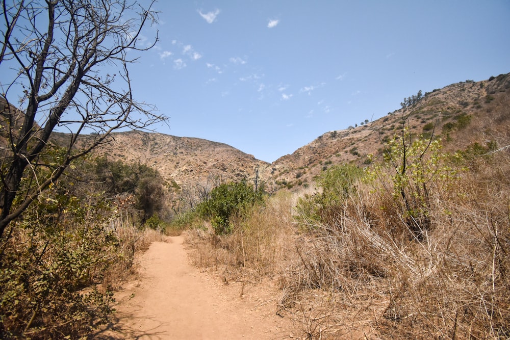 brown dirt road between green grass and brown rock formation under blue sky during daytime