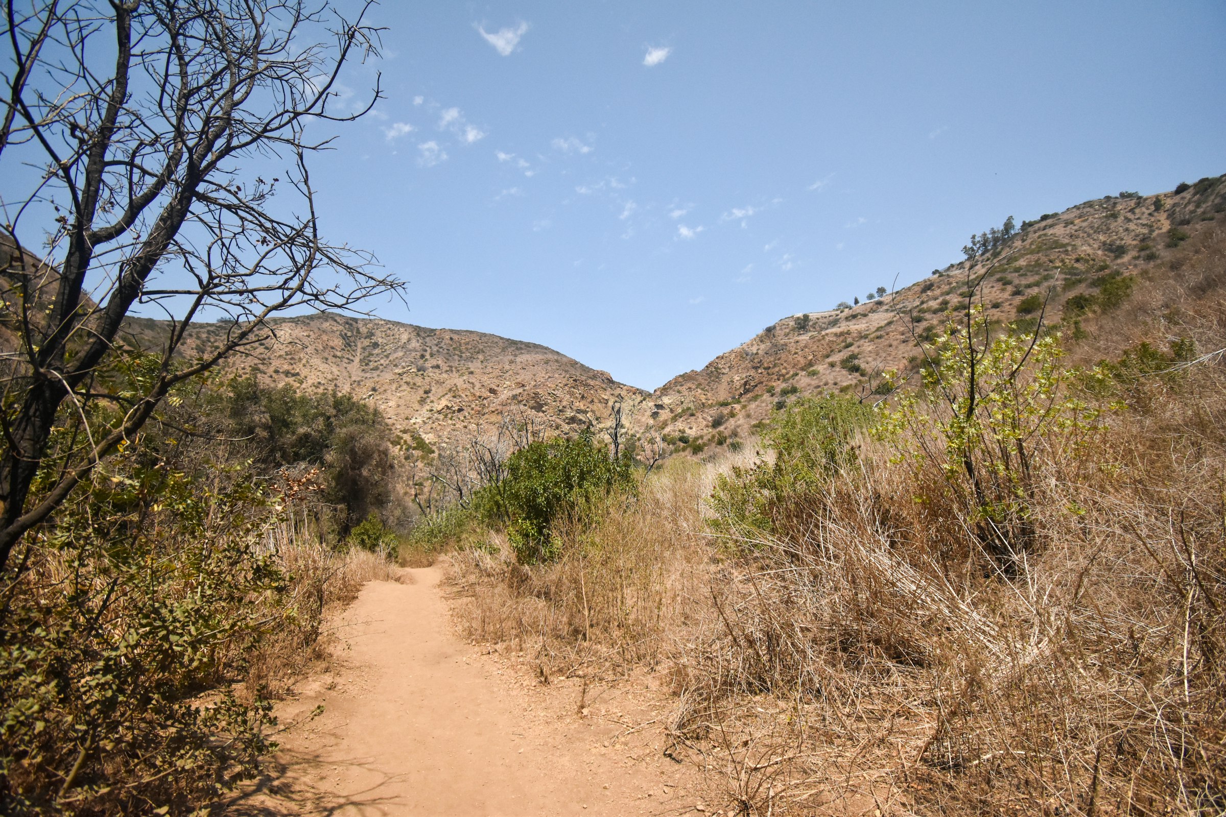 Mountain and desert views near Escondido, California