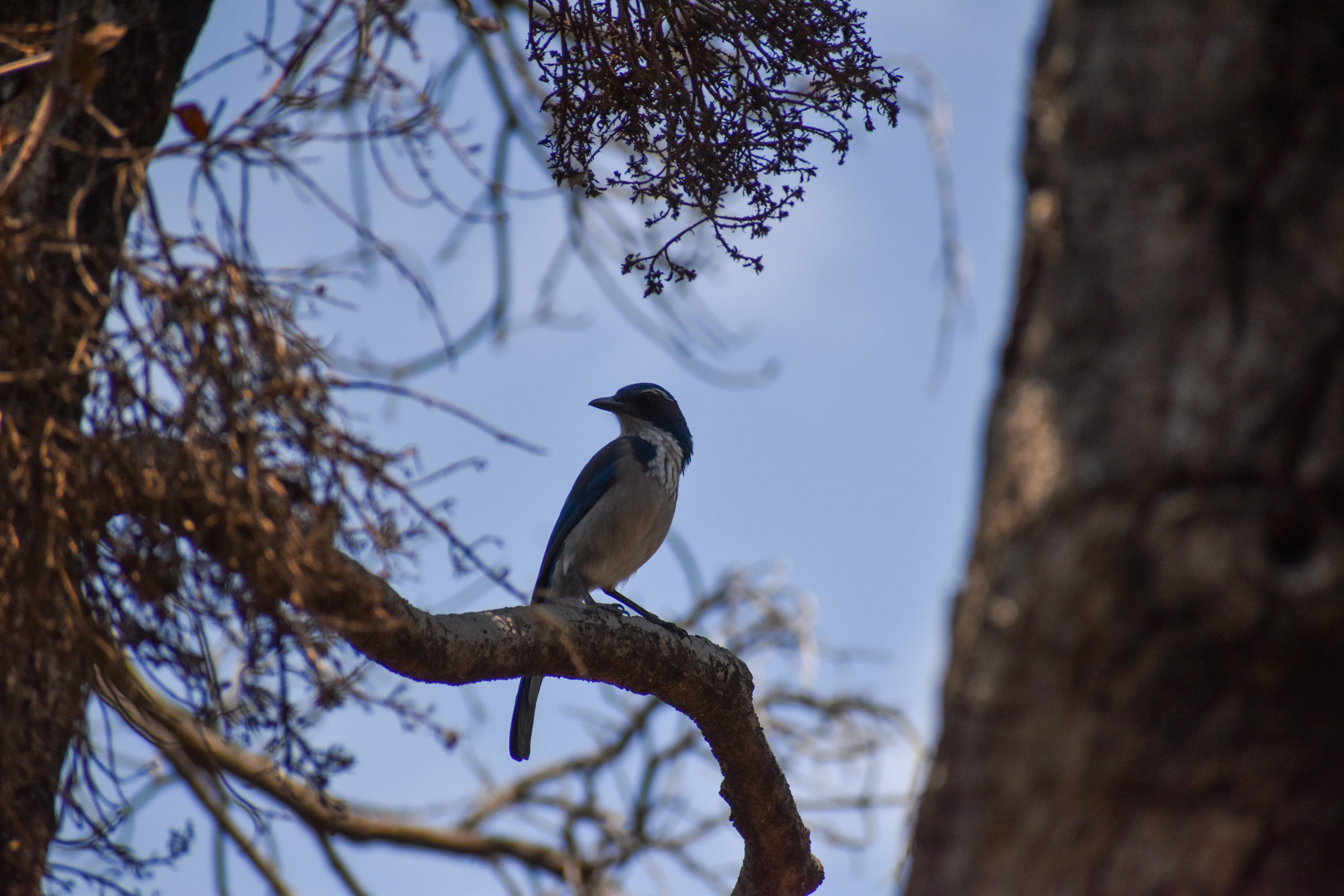 Photo by taylorwright22