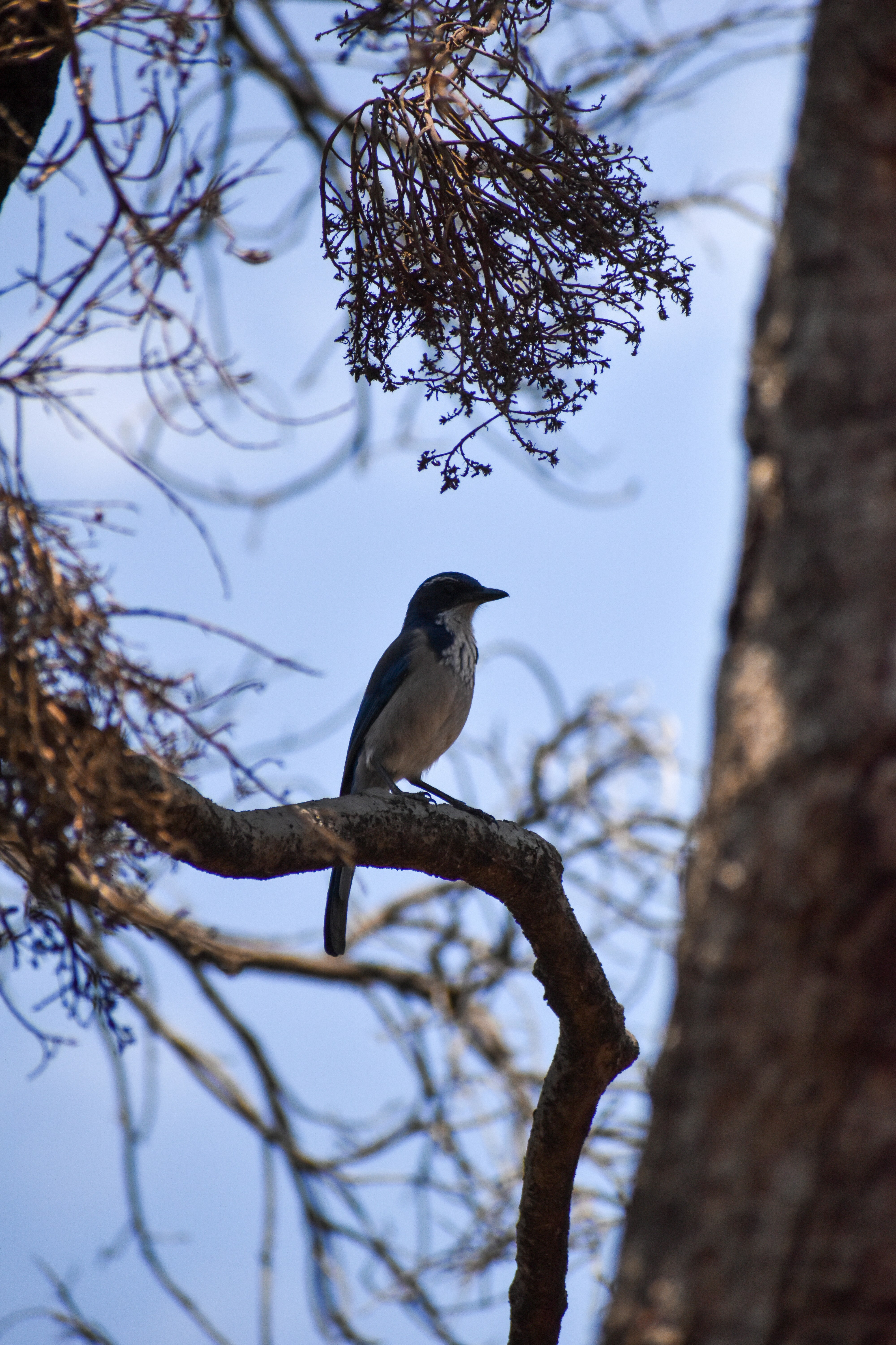 Photo by taylorwright22