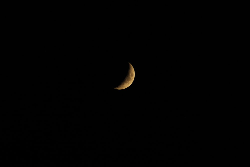 Luna llena en el cielo