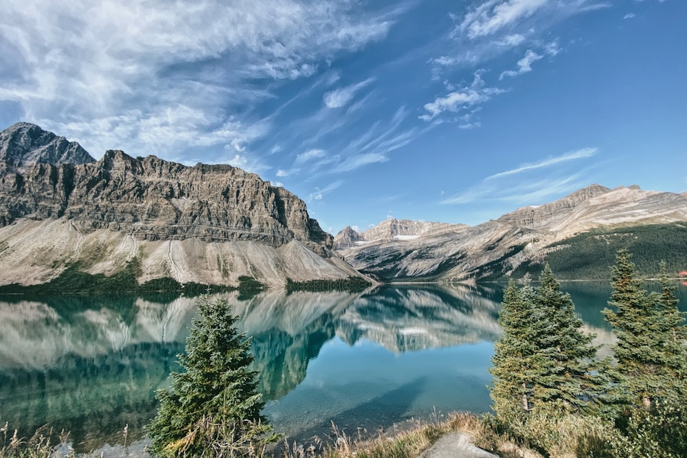 alberi verdi vicino al lago sotto il cielo blu durante il giorno