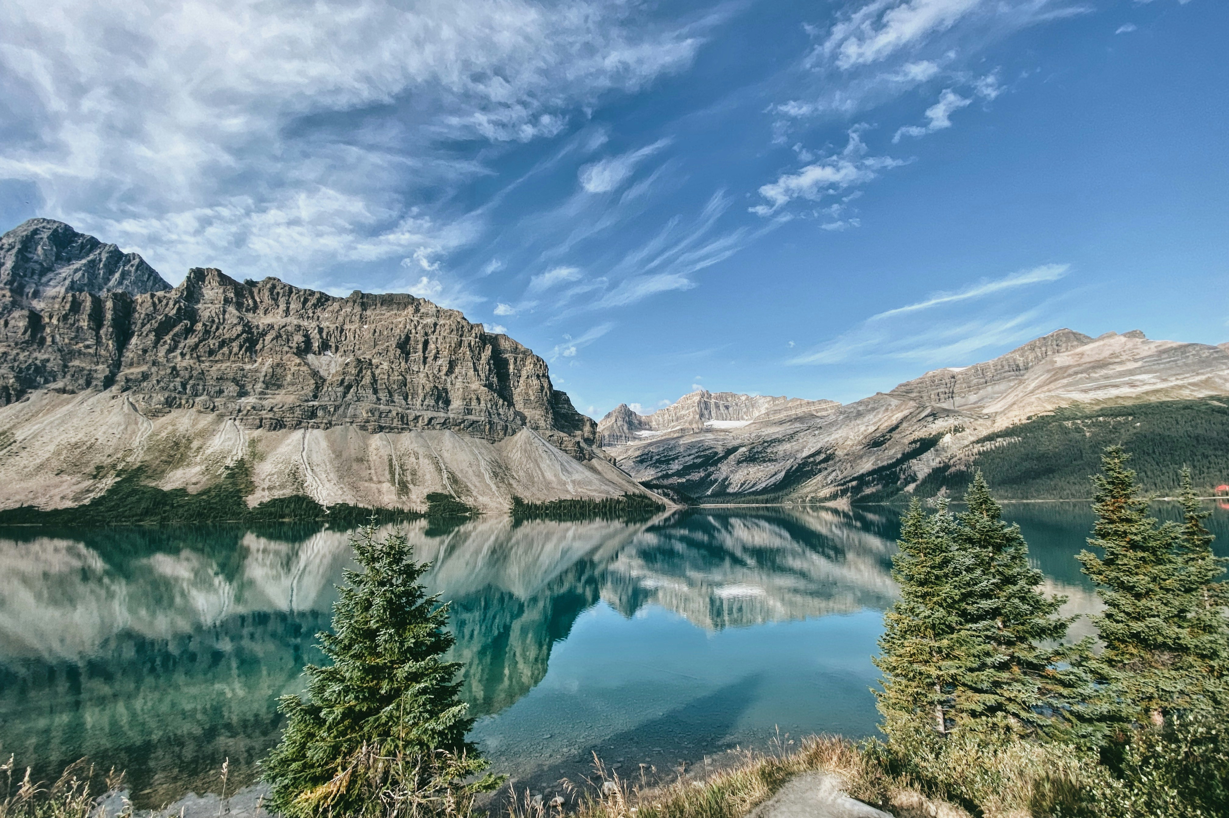 green trees near lake under blue sky during daytime