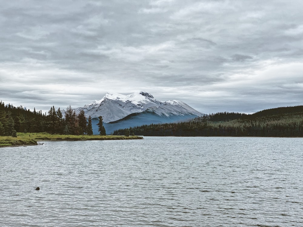 snow covered mountain near green trees and body of water during daytime