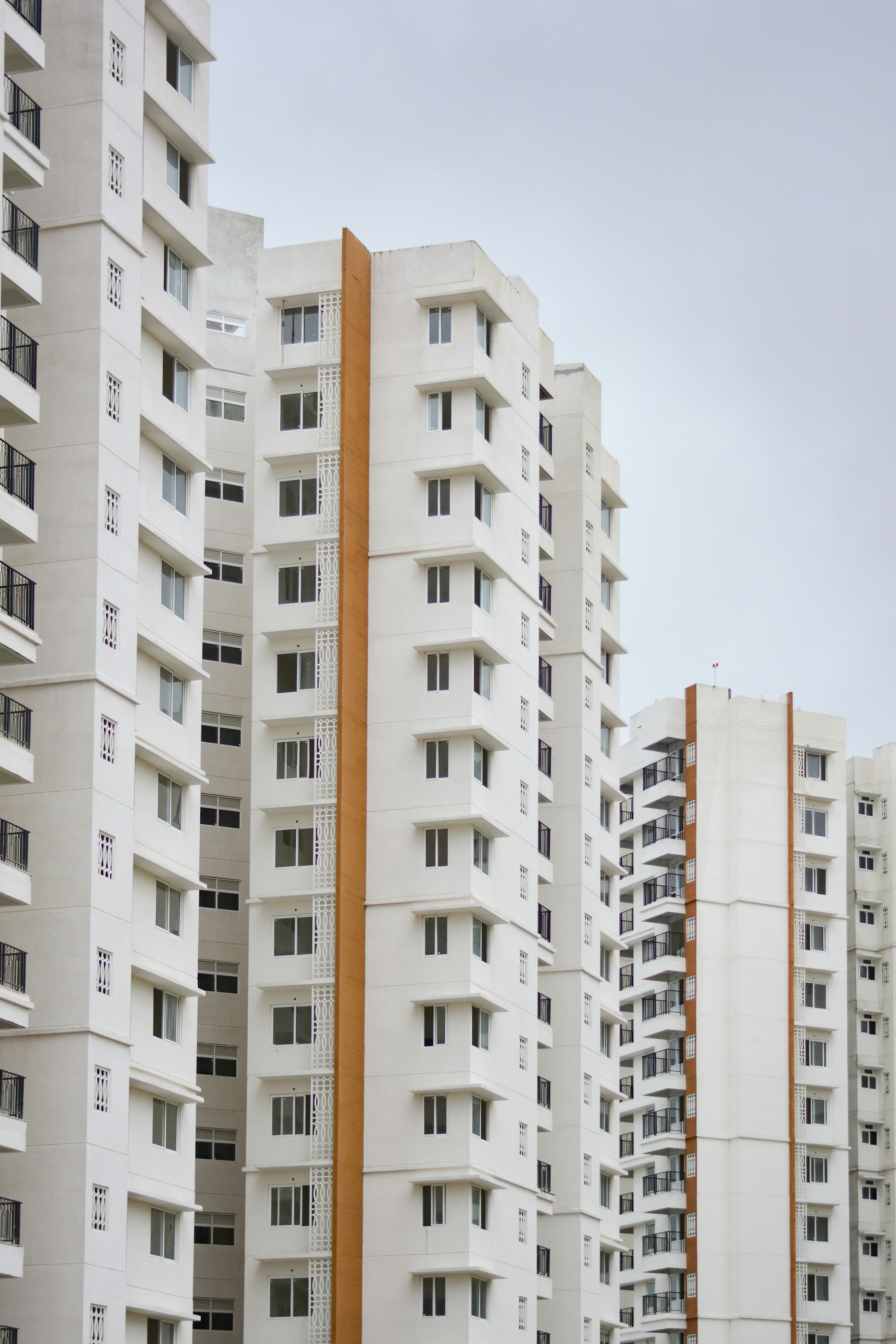 Photo by sanjanshetty