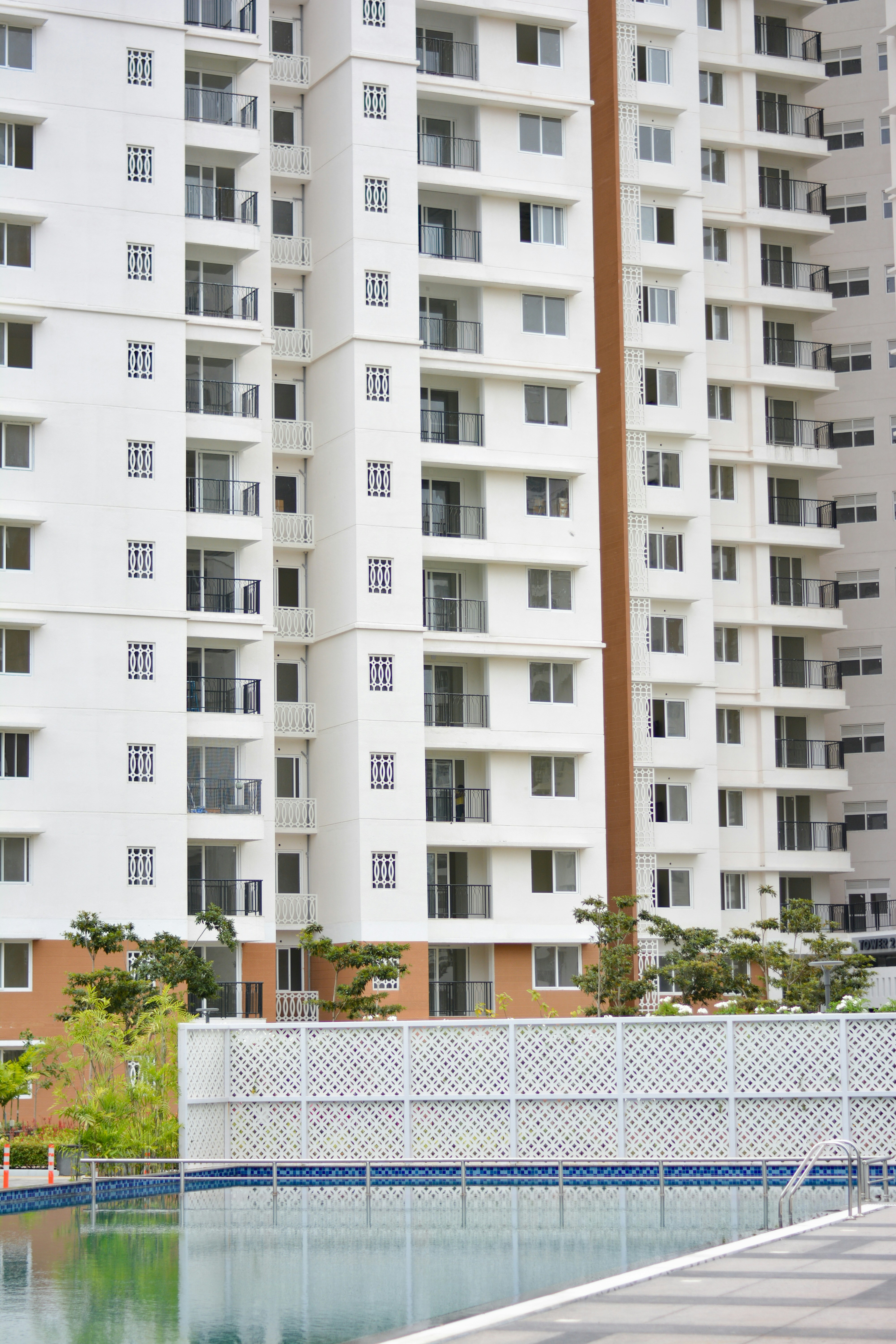 Photo by sanjanshetty